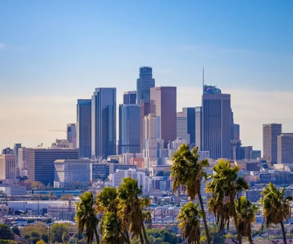 transfers to the LA Metro area for corporate clients and leisure travelers alike